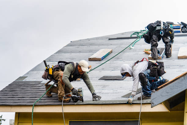 Professional Gutter Installation technician working in Webster, IN